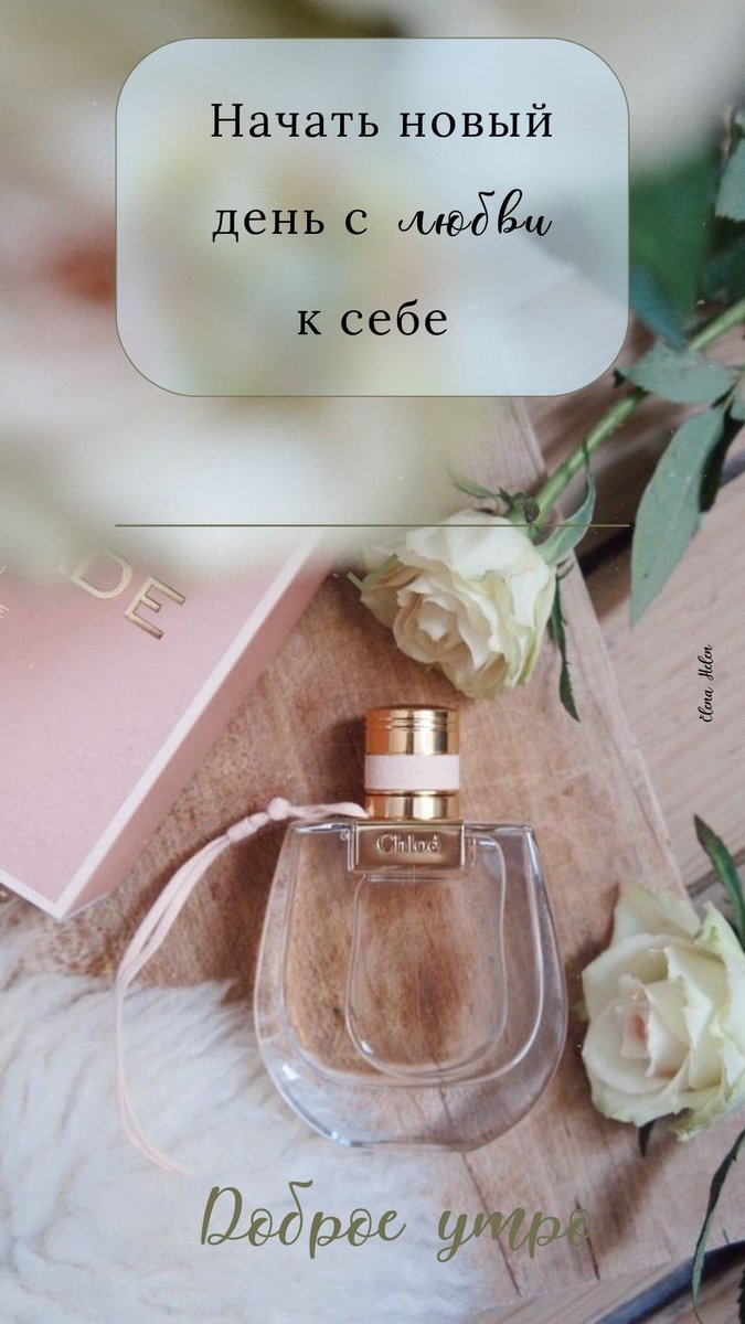 Vladkira tweet media