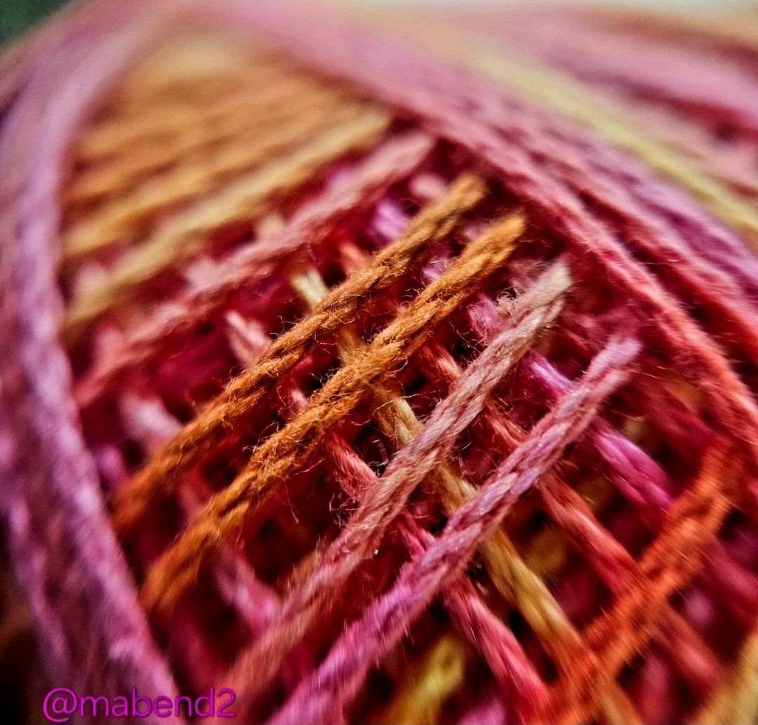 Manda Bendre 🇮🇳 tweet media