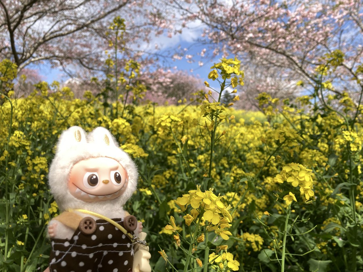 イガイガ tweet media