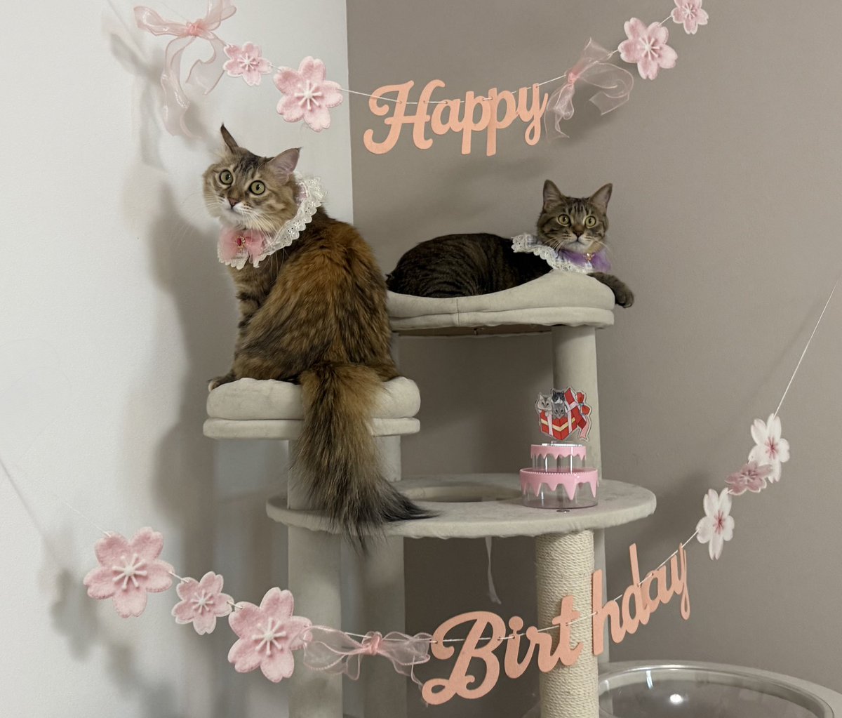 ルルララ tweet media