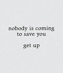 Trading with Tim tweet media