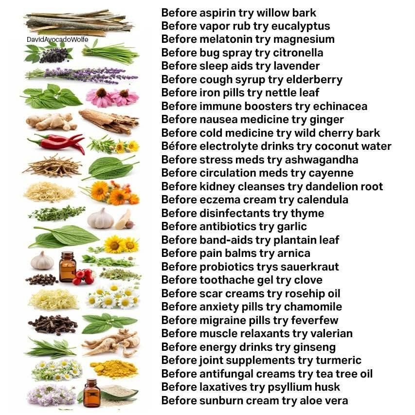 Organic Live Food tweet media
