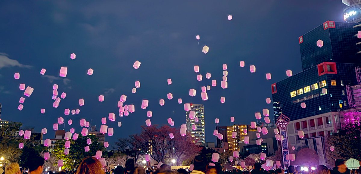 転少女 tweet media