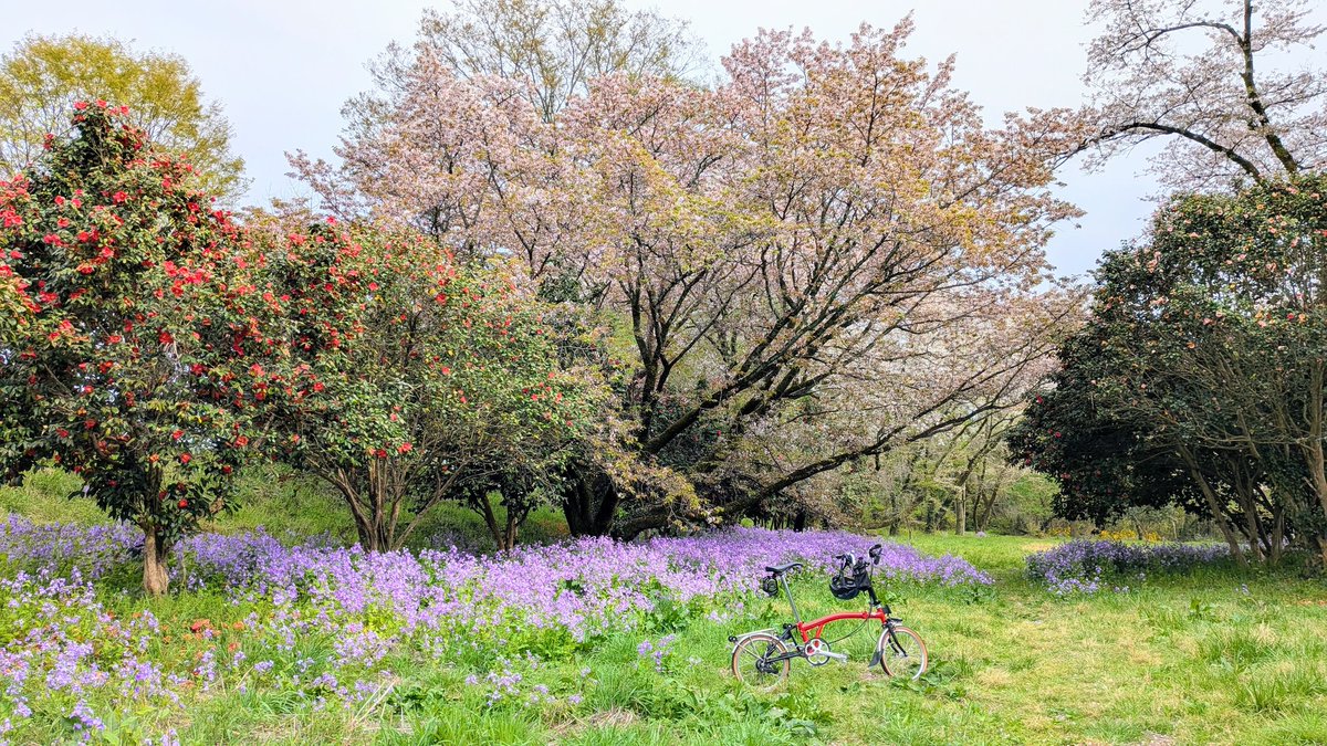 こんちき　色紙屋さん tweet media