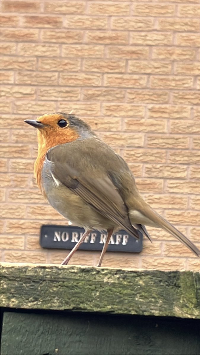 Diane Reeves tweet media