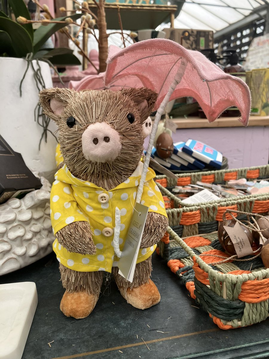 Diane Reeves tweet media