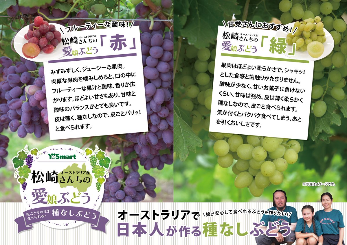 松崎さんちの 愛娘ぶどう ＼ 今日は、ワイズちゃんの “いち推し