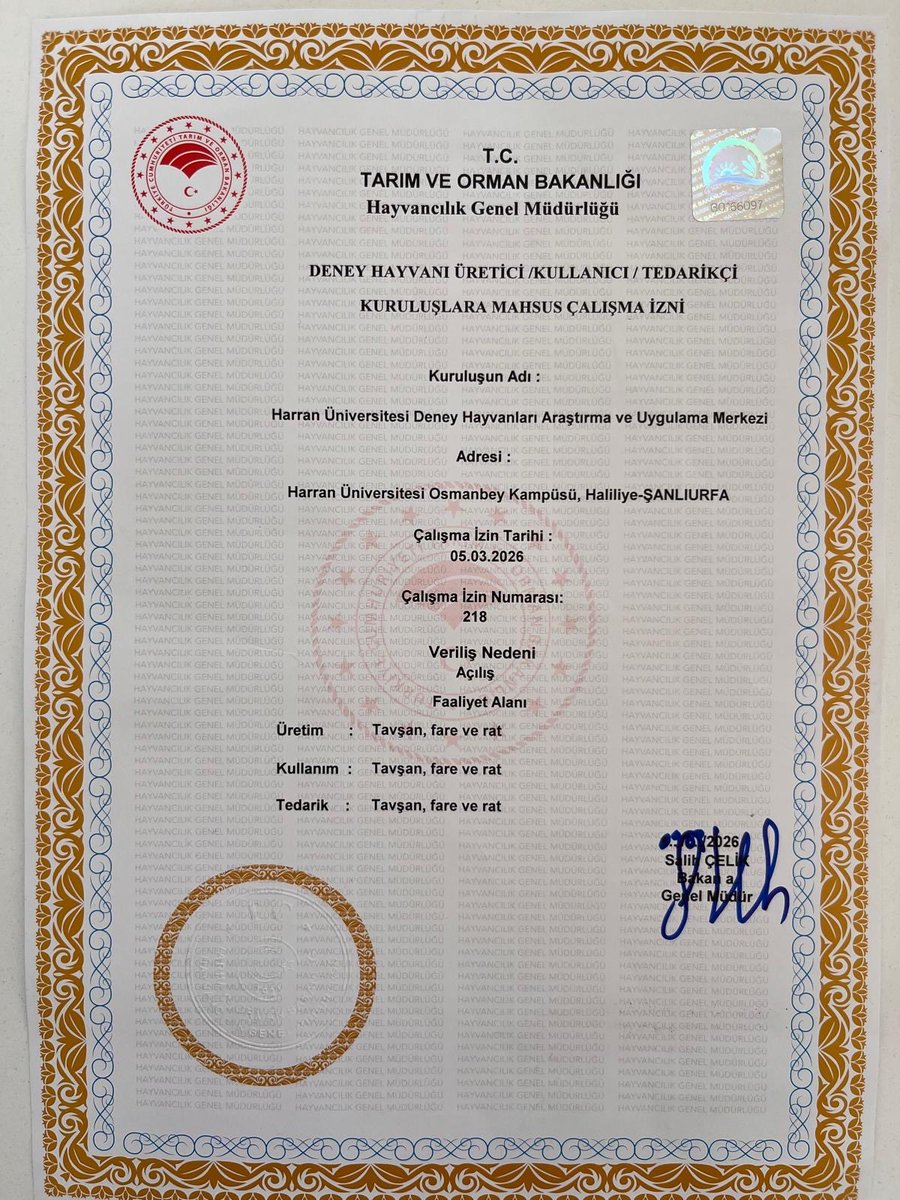 Harran Üniversitesi tweet media