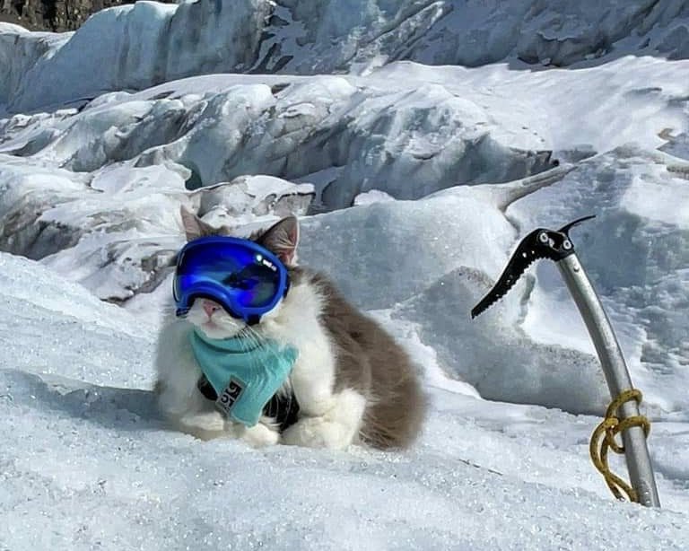 ishi ✮ tweet media