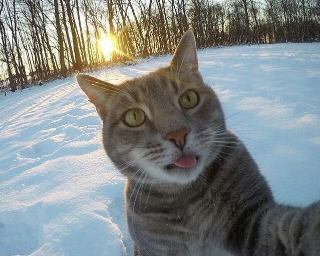 ishi ✮ tweet media