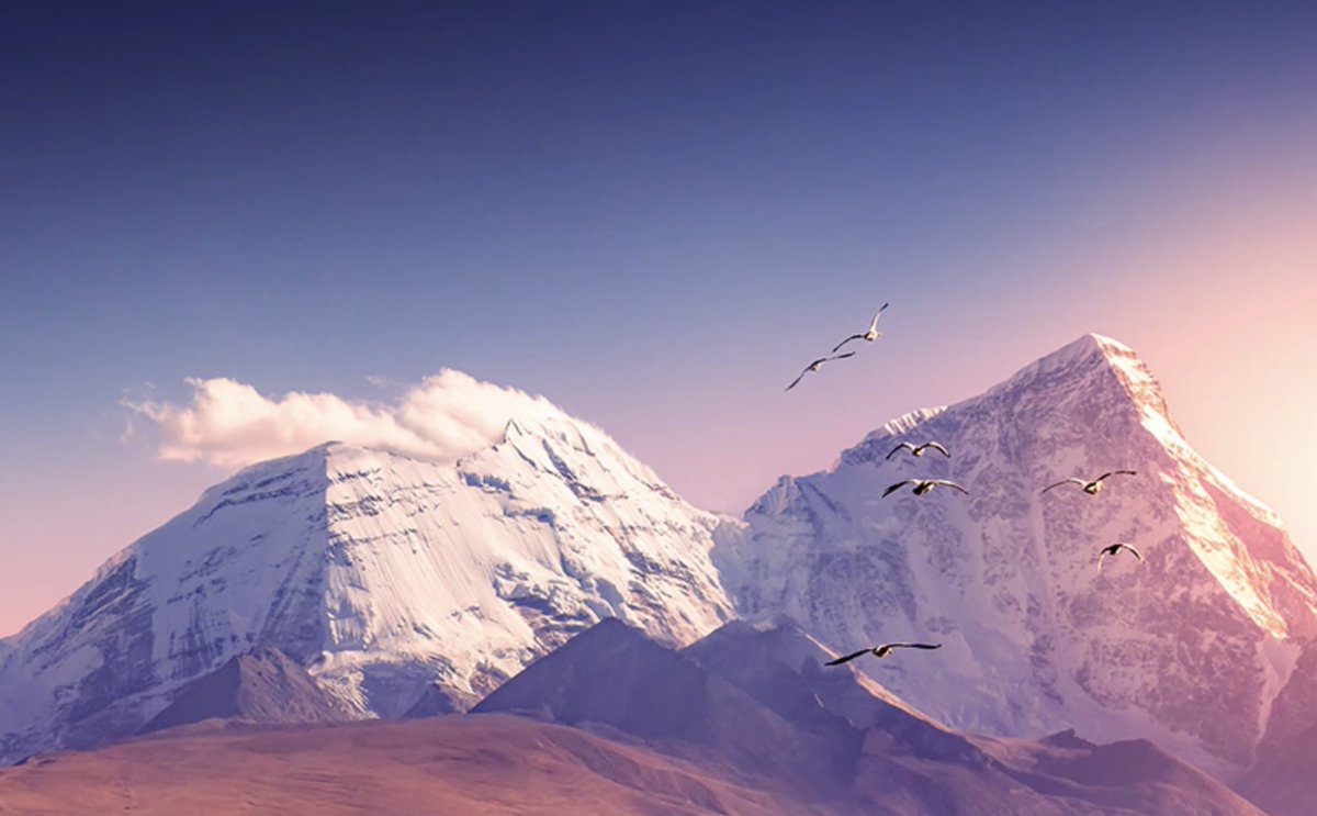 SAMENA Council tweet media