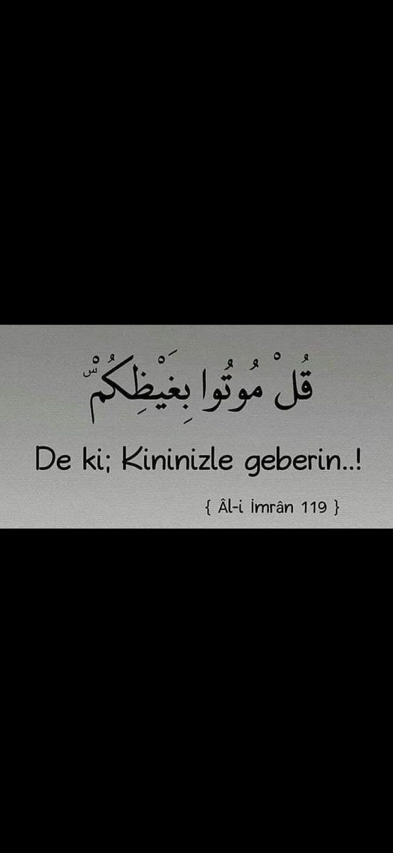 🇹🇷 SoN ReKaT 🇹🇷 tweet media