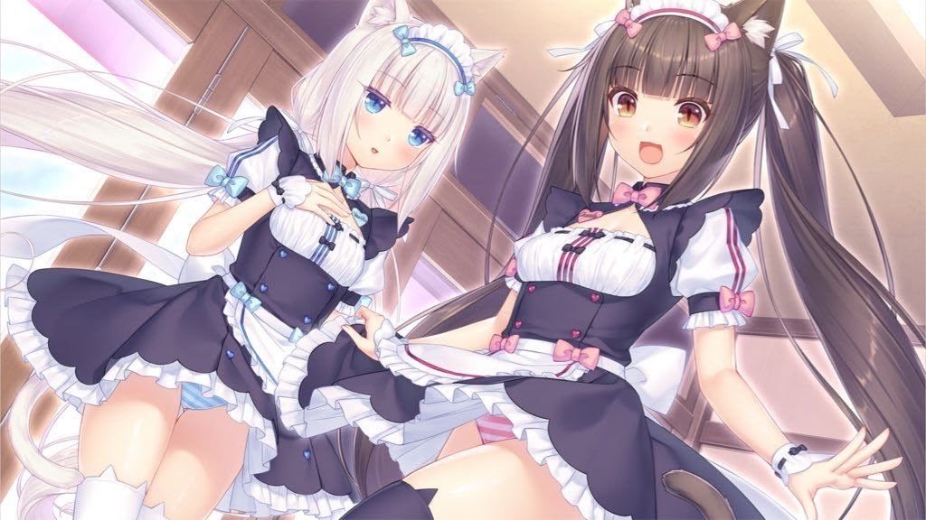 ForgetMeNöt 𓆩♡𓆪 tweet media