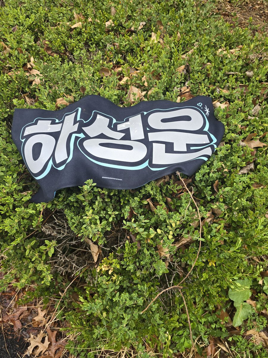 구르마이리온🌸 tweet media