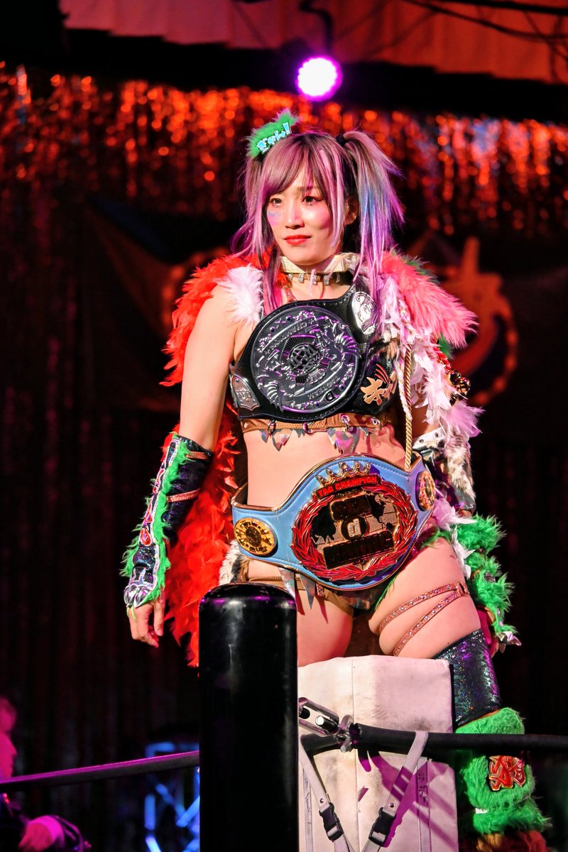 Kiwi 011 🐯🦊🦖 tweet media