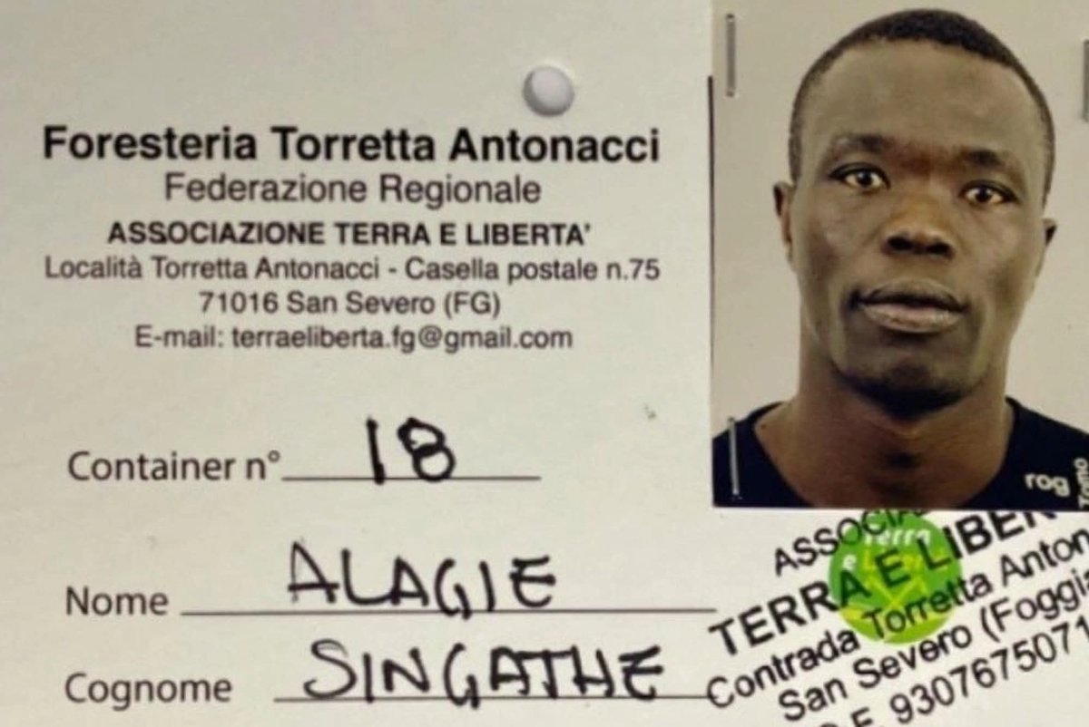 Sabó tweet media