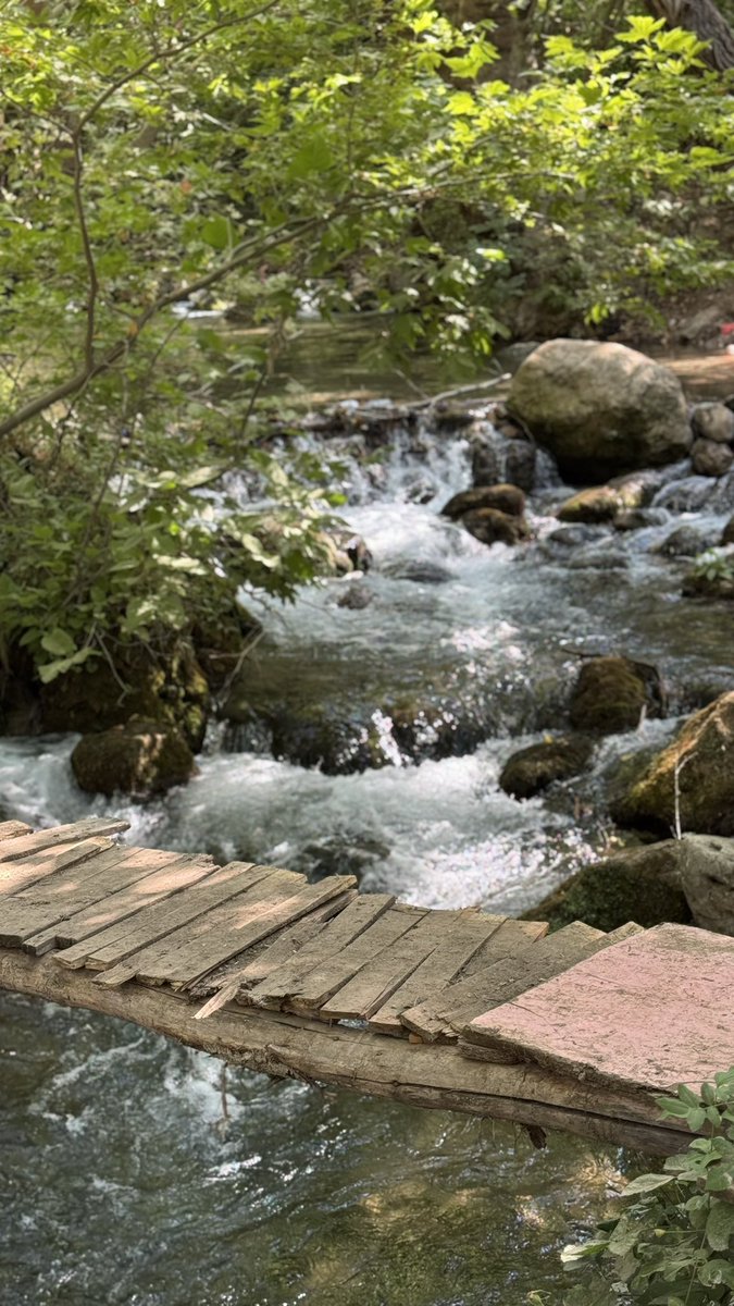 Leyla #DefendKurdistan tweet media