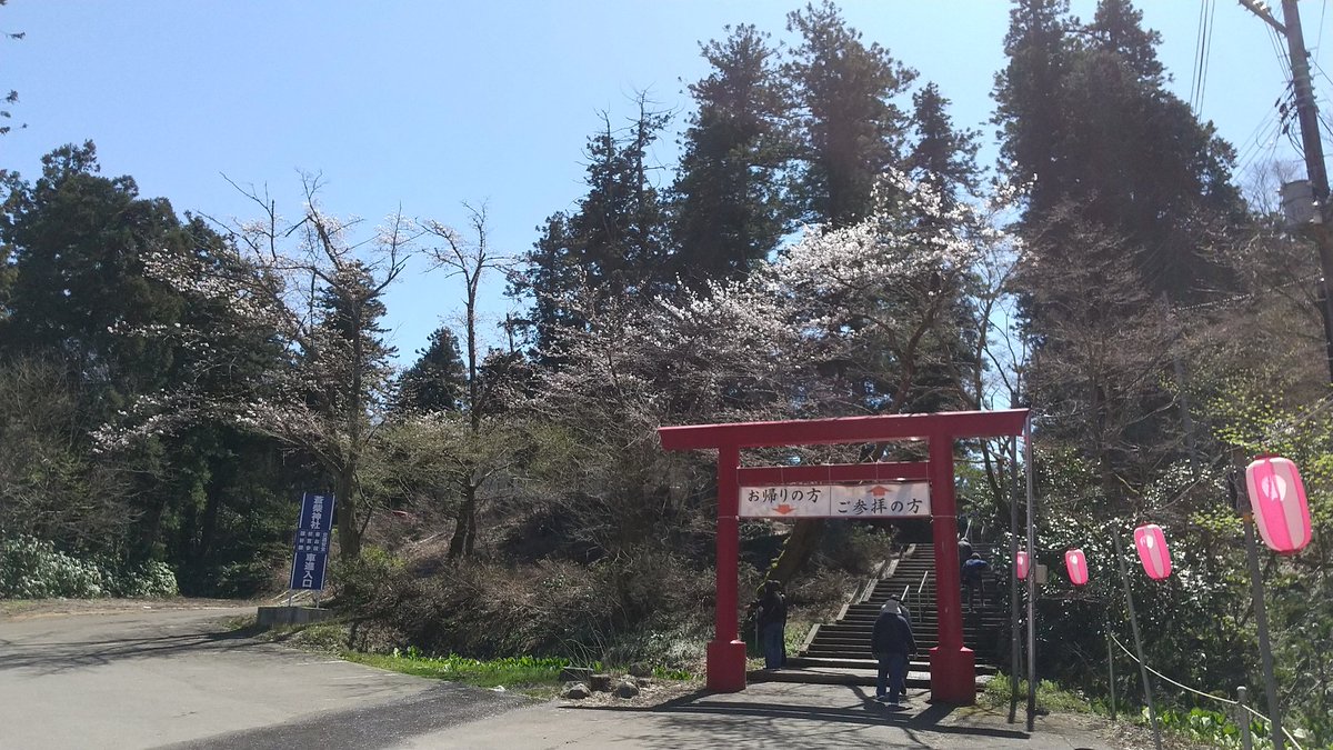 でぃー tweet media