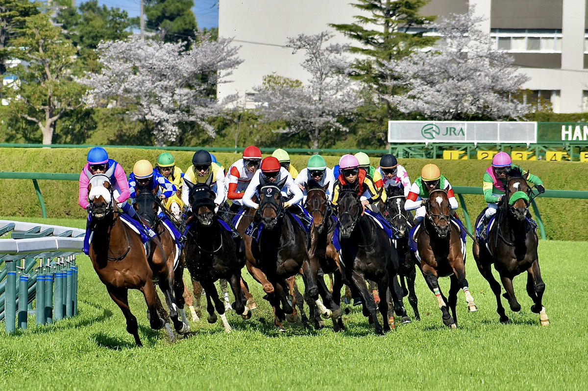 タケ坊@馬なり単走🍡 tweet media