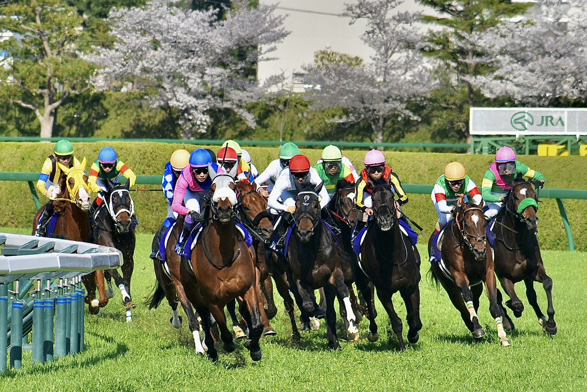 タケ坊@馬なり単走🍡 tweet media