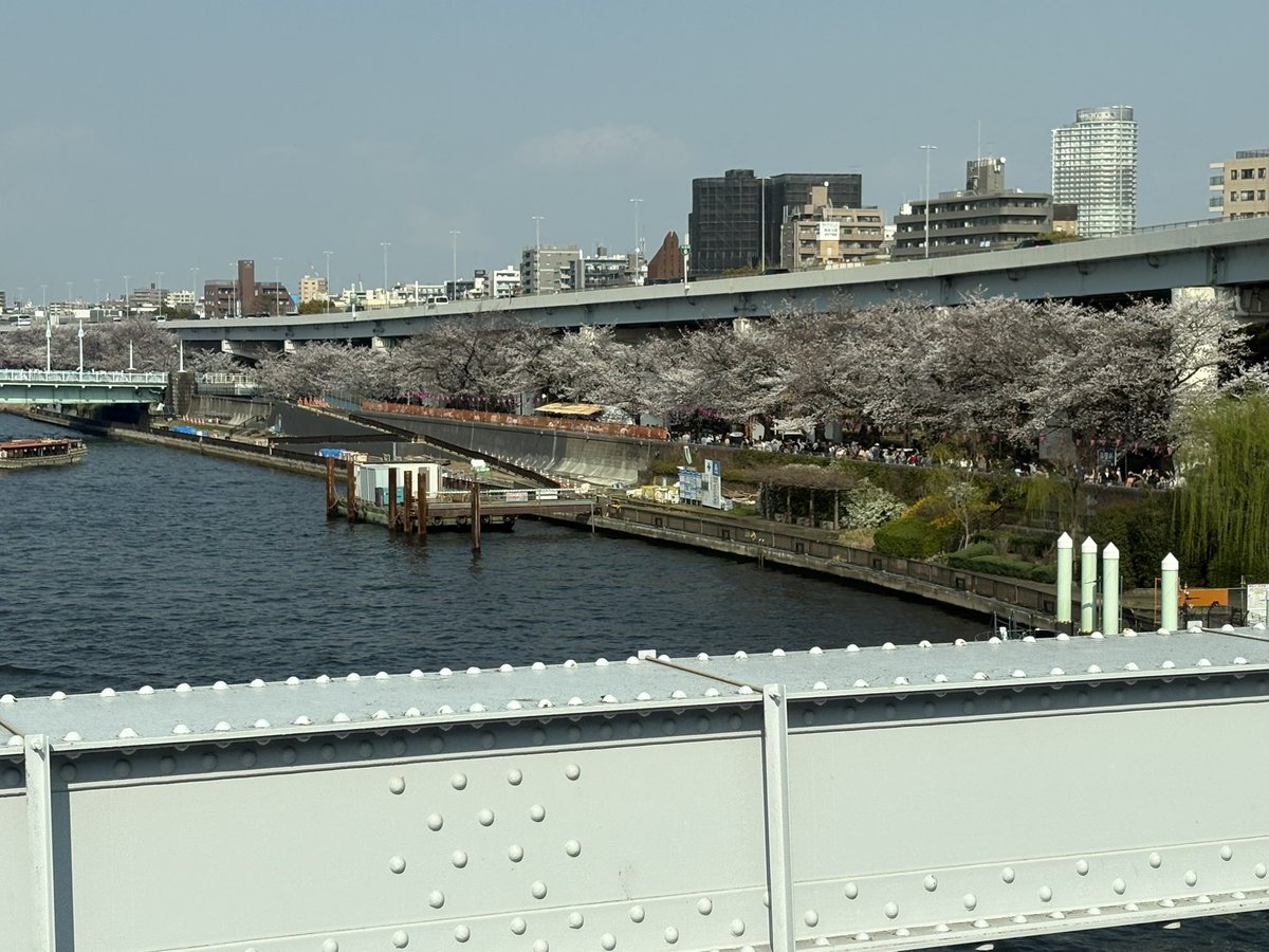 ロプロス tweet media