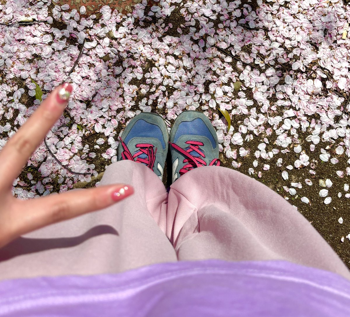 なーるん tweet media