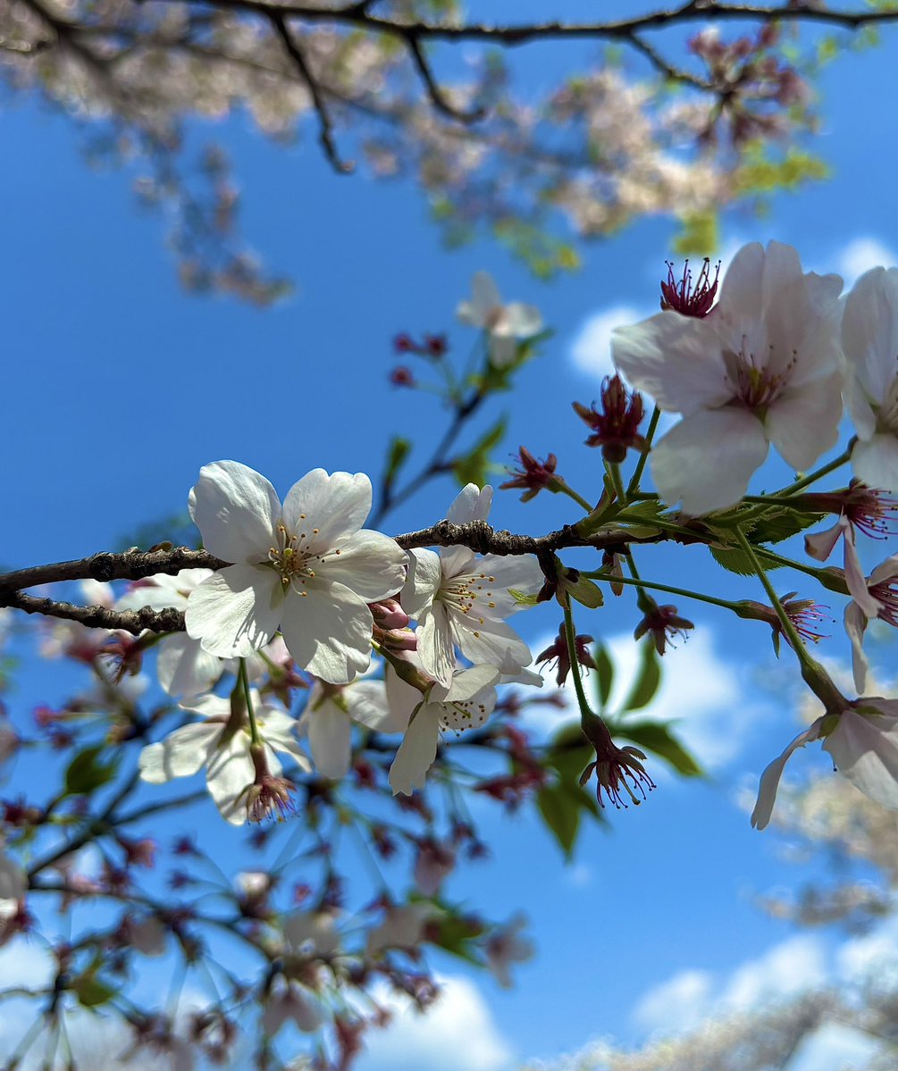 なーるん tweet media