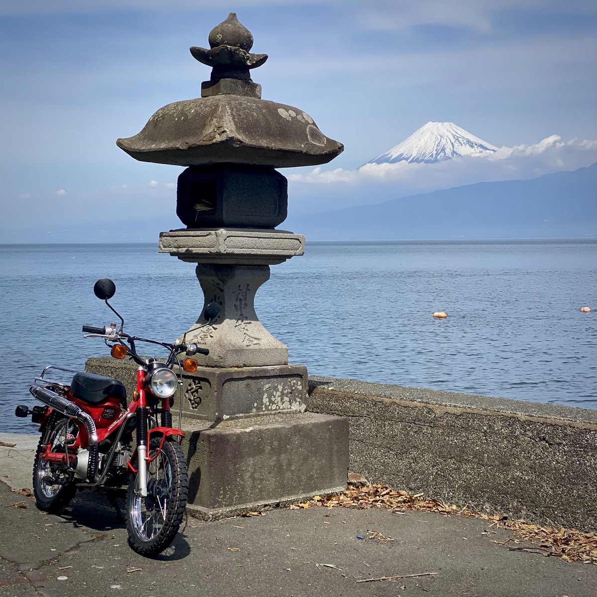 𝗕𝗢𝗪 tweet media