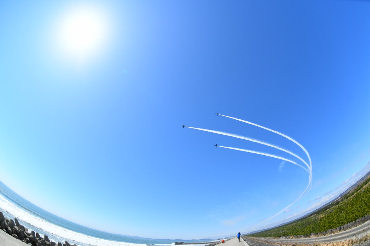 トレボーハイヤー tweet media