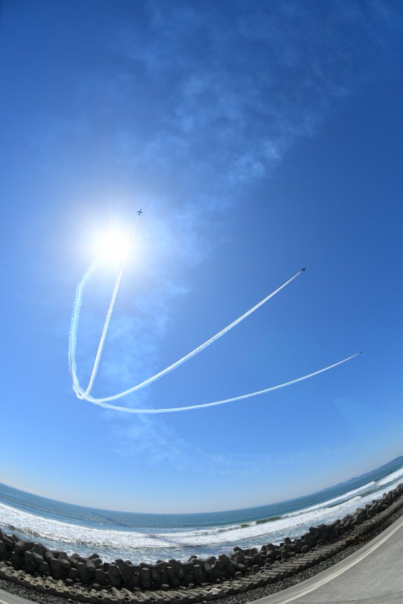 トレボーハイヤー tweet media