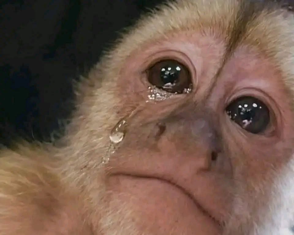 Salvador Iglesias Jr tweet media