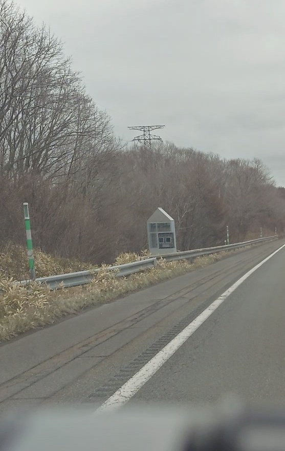 dai✨🌈 tweet media