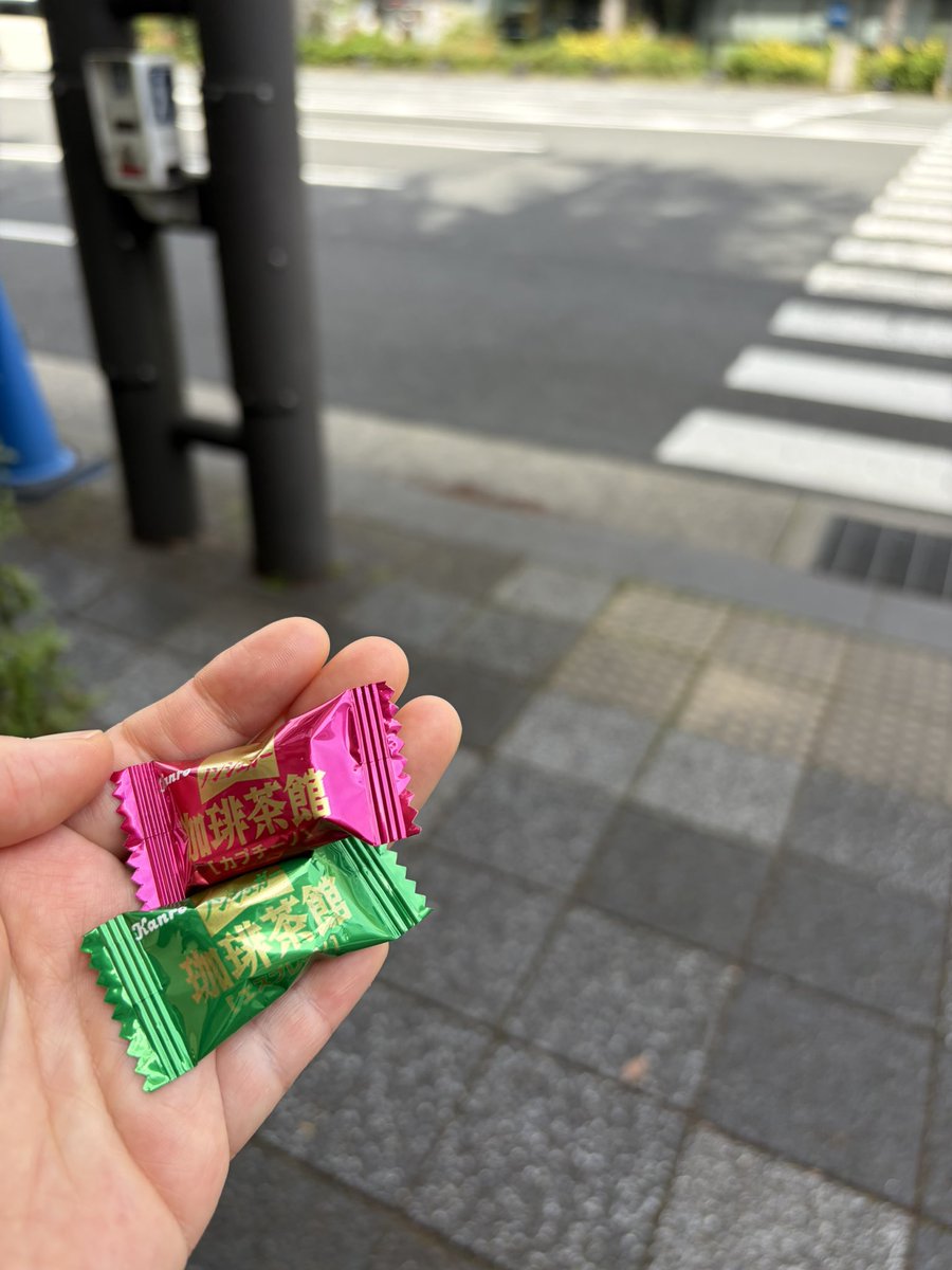 ばじーな🦪 tweet media