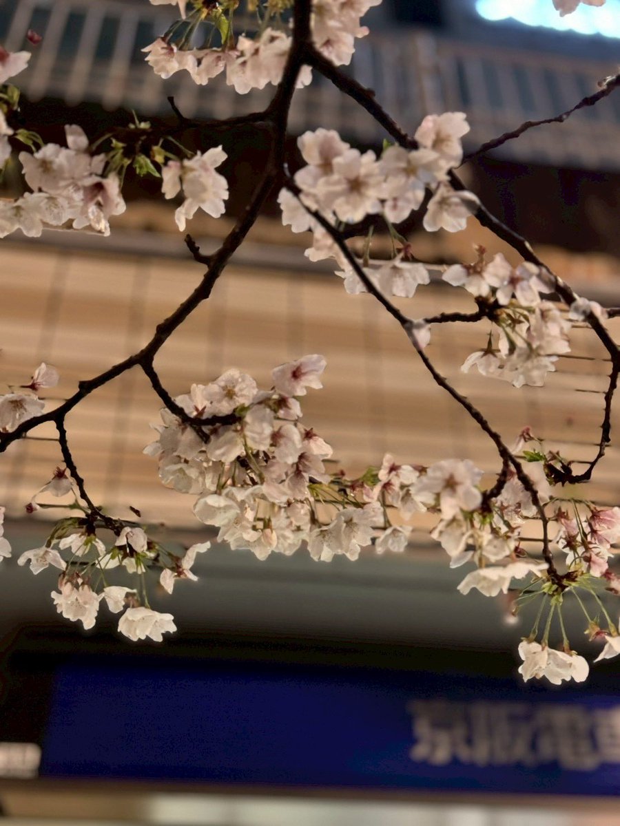 奥下たけみつ　日本維新の会　衆議院大阪7区(吹田市、摂津市) tweet media