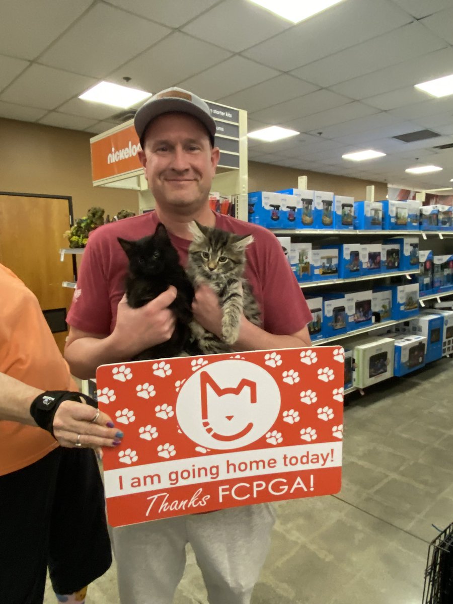 FeralCatProgramGA tweet media