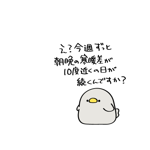 🐥🥽❄️ tweet media
