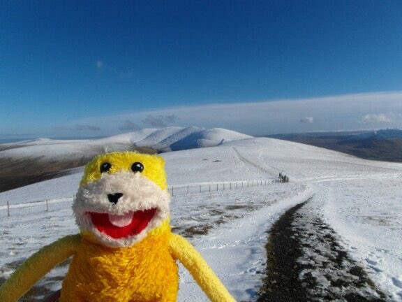 qsouupp⊬ tweet media