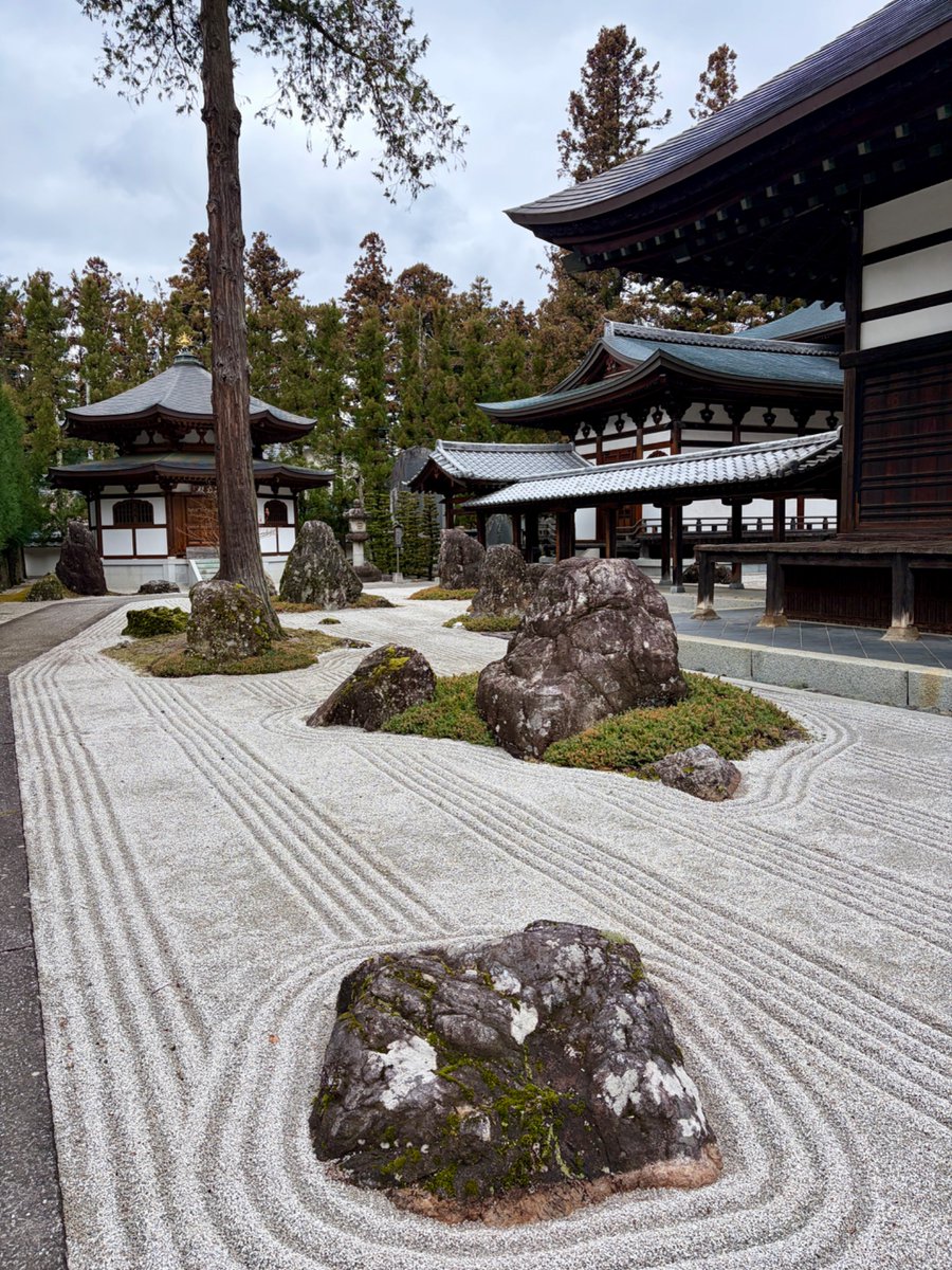 よる✴︎Next Fortune人事×広報✴︎ tweet media