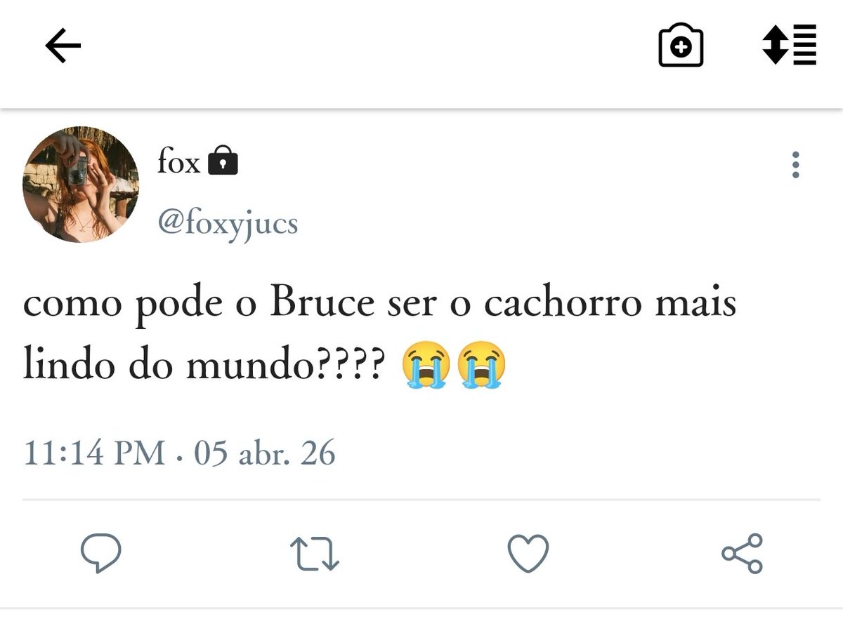 Laranjinha | au loquinha 📌 tweet media