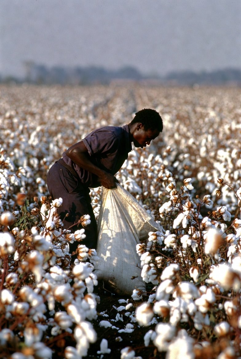 洛伦茨 tweet media