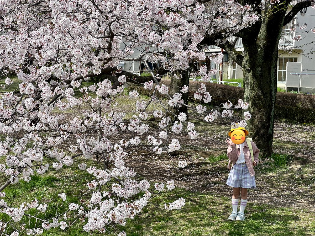 hdm0320's tweet photo. 昨日に戻りたい

さっき堤防行って桜とぱしゃり📸👧🏻🌸
加藤さんもモンちゃんも絶対知ってる場所
八王子のとある場所
ランドセルはきいろ💛

#FMB20th https://t.co/IZCNnDTDbs