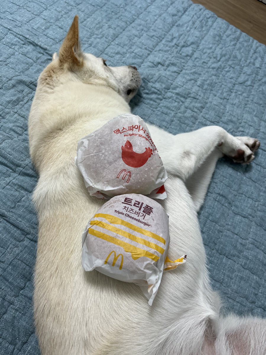 대마초김치 tweet media