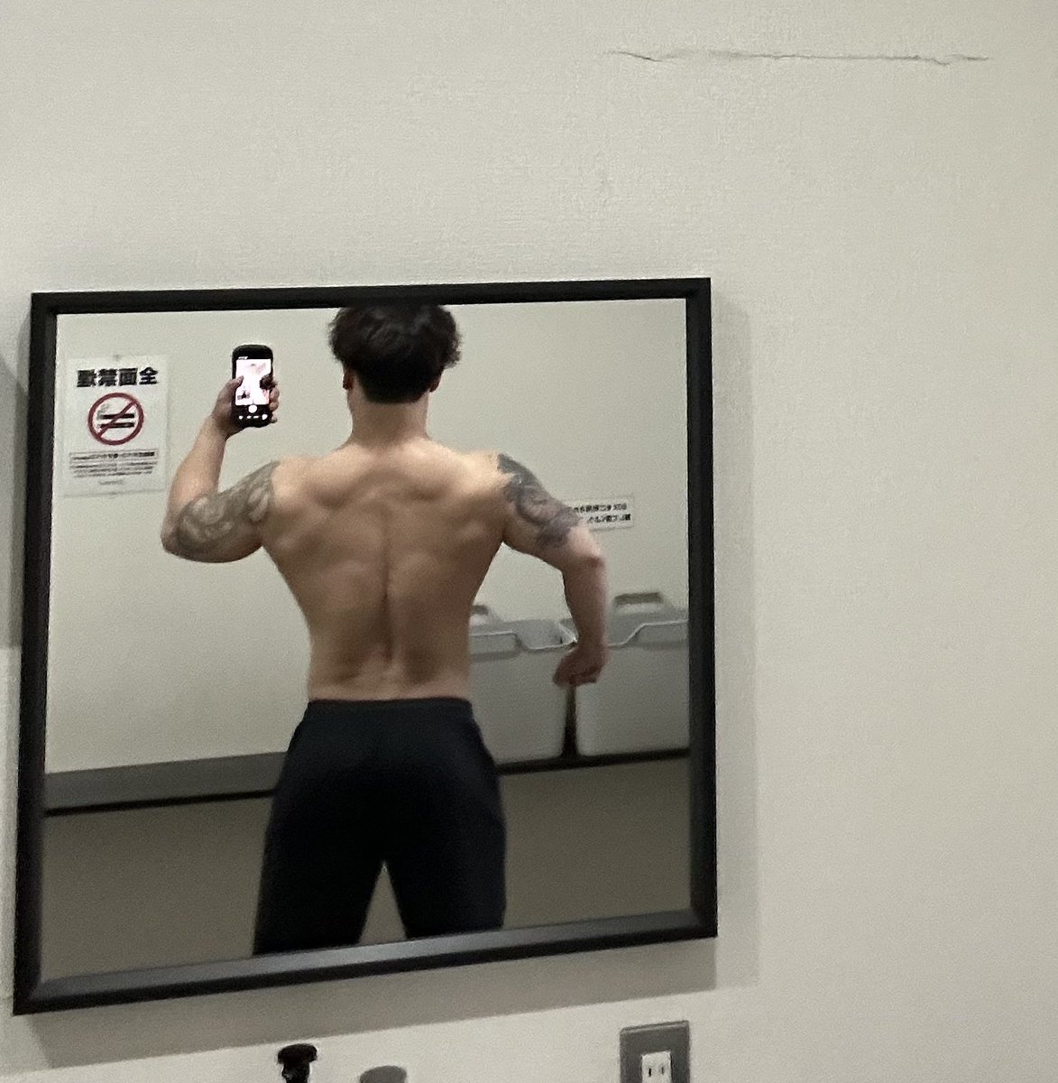 筋トレ頑張るヒッポーちゃん tweet media