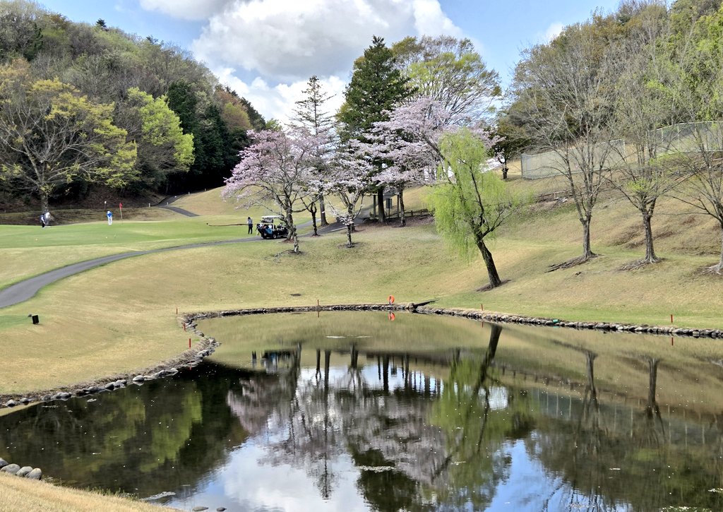 ︎𓃟リゑ㌧𓃟ﻌﻌﻌ tweet media