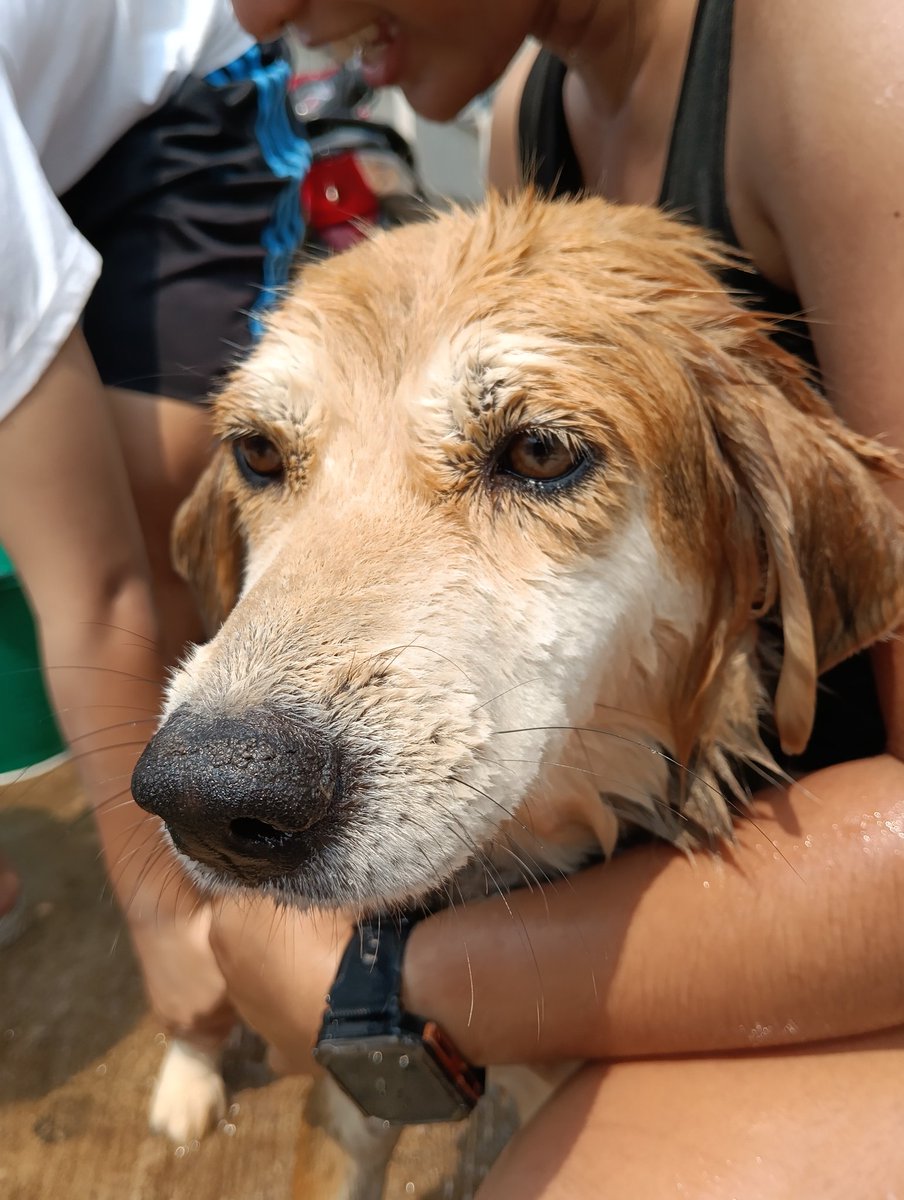 Fido-J tweet media