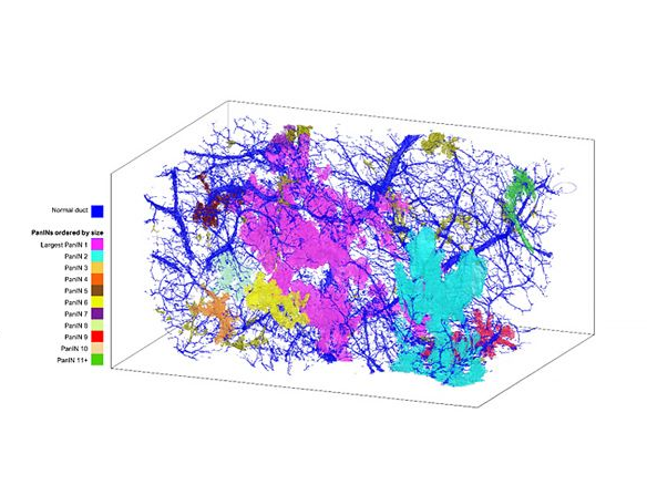 MATLAB_Japan's tweet image. がん発生プロセスの解明へ。

MATLABによるイメージレジストレーションやディープラーニングを用い、連続した組織切片から高精度な3D組織モデルを再構築する計算プラットフォーム「CODA」の事例をご紹介します。

🔗 spr.ly/6014B6svoM

#MATLAB #DeepLearning #画像処理