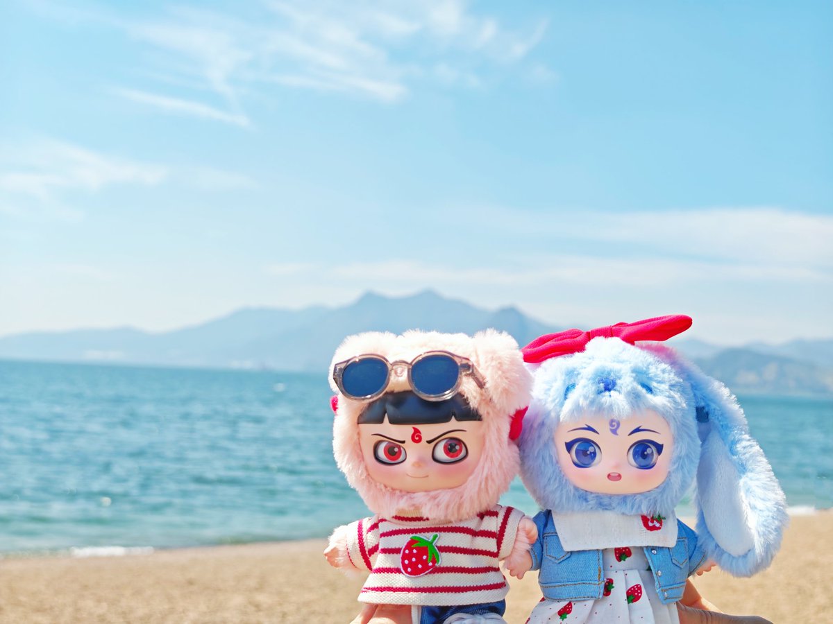 一只momo tweet media