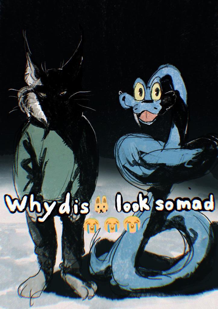 元気なサル tweet media