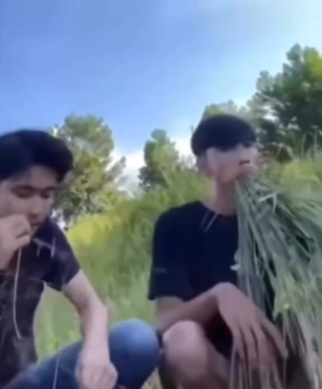 Rhombicosidodecahedron tweet media