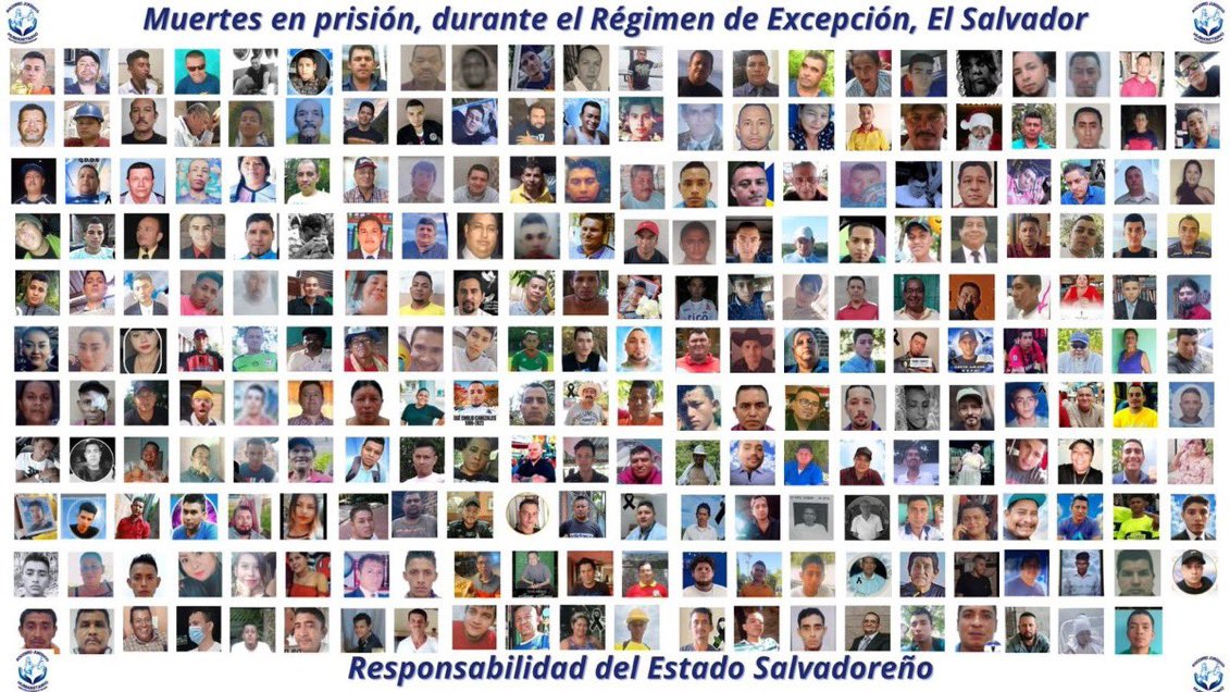 Voice of Mexico tweet media